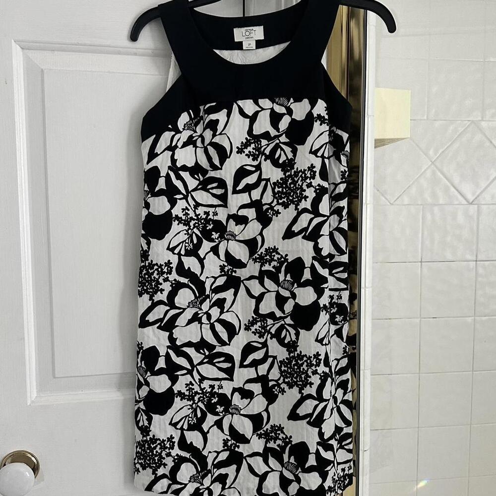 Ann Taylor Women's Black and White Dress